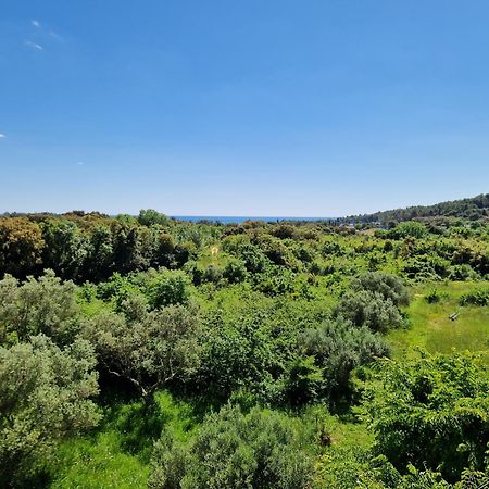 Villa Mareonda Rovinj Buitenkant foto
