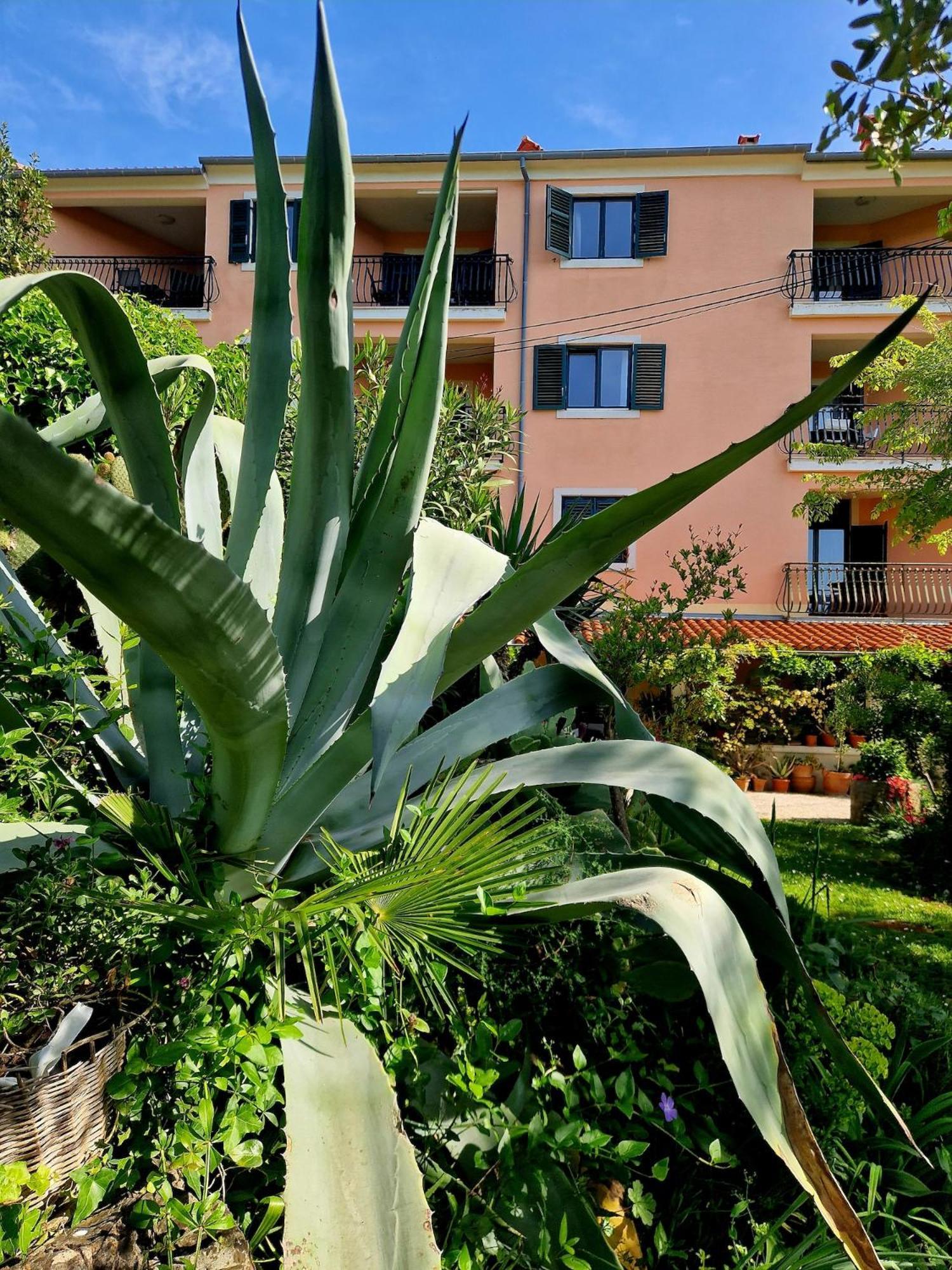 Villa Mareonda Rovinj Buitenkant foto